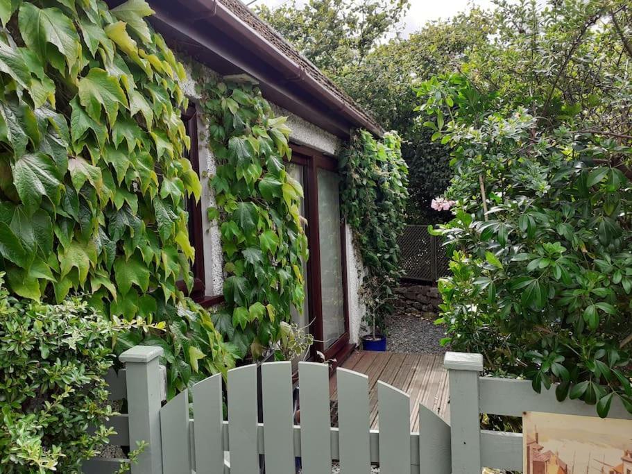 Oakey Orchard - Cosy Apartment In Tamar Valley, Cornwall Saint Dominick Extérieur photo