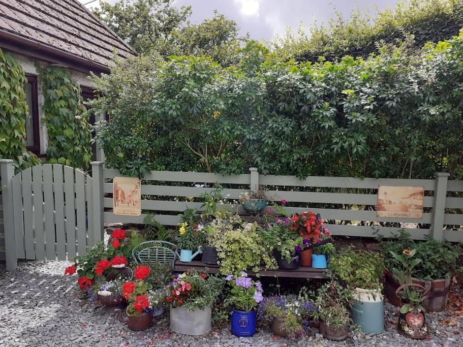 Oakey Orchard - Cosy Apartment In Tamar Valley, Cornwall Saint Dominick Extérieur photo